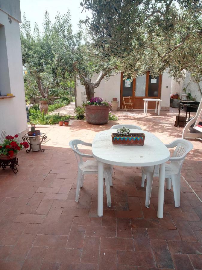 Dhalia Appartamenti Trapani Bagian luar foto